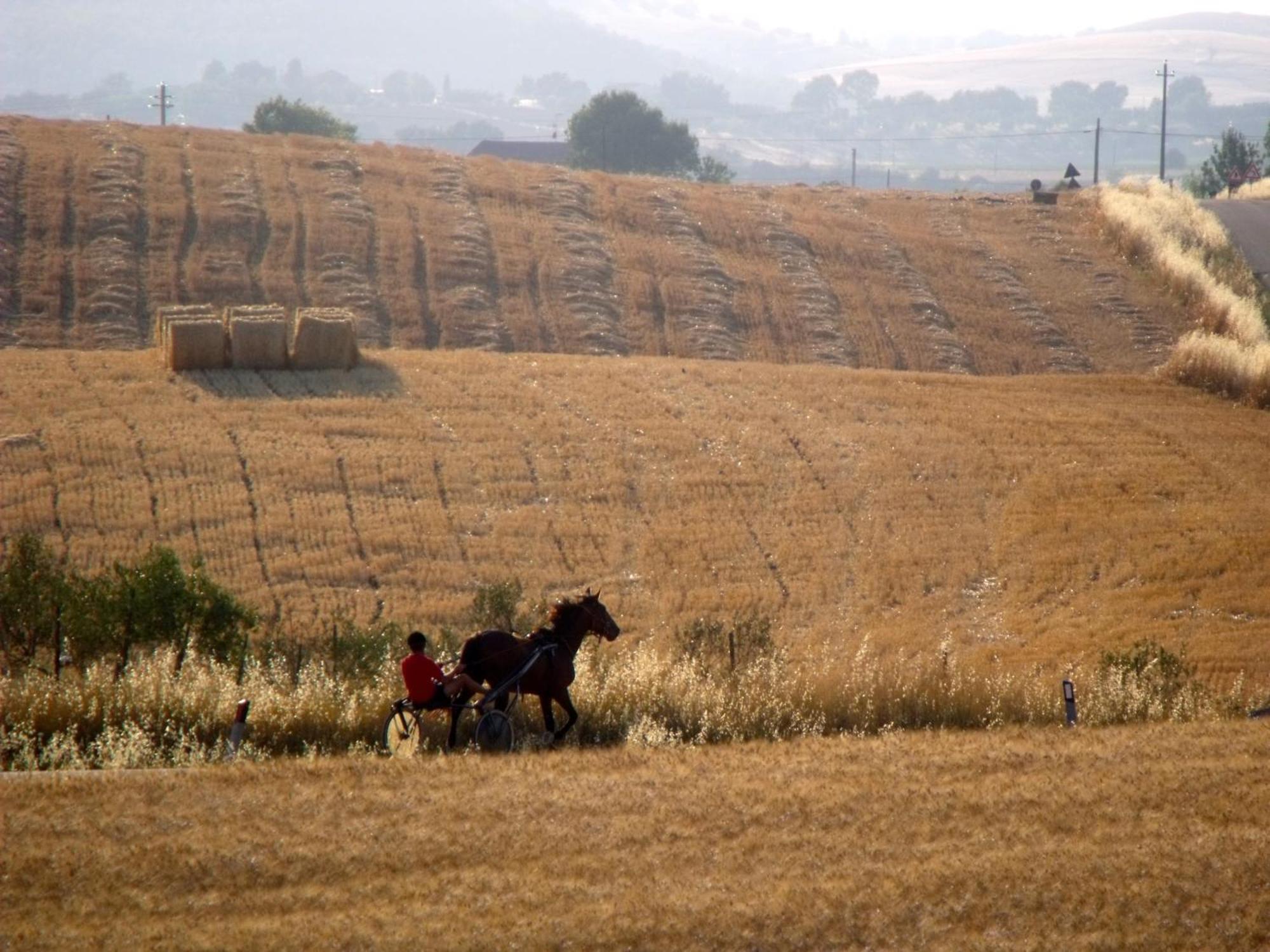 Agriturismo Il Raduno - Max Lelli مارسياينا المظهر الخارجي الصورة