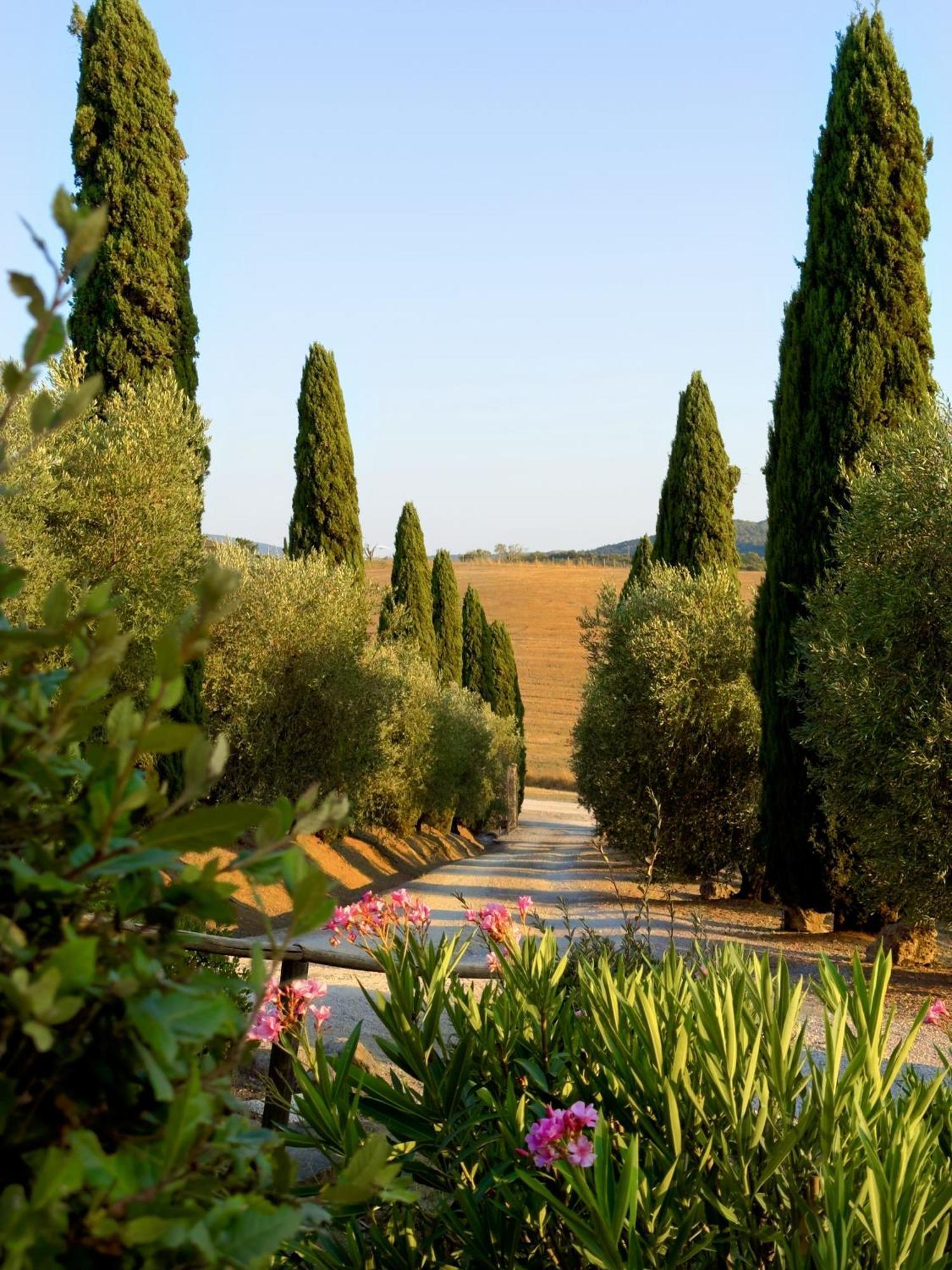 Agriturismo Il Raduno - Max Lelli مارسياينا المظهر الخارجي الصورة